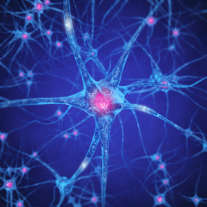 Brain on Drugs - Neurotransmitter