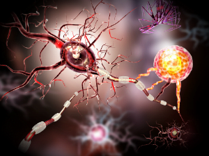 Brain Neurons on Drugs