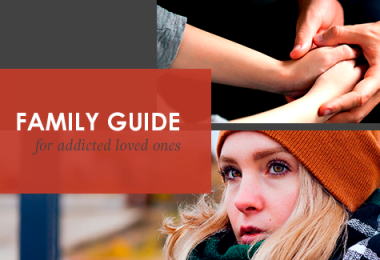 family guide for addicted loved ones