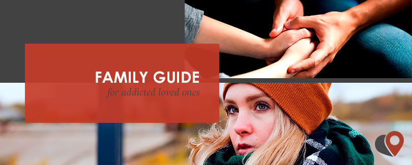 family guide for addicted loved ones