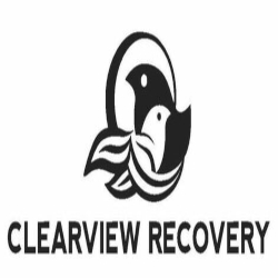 clearview recovery
